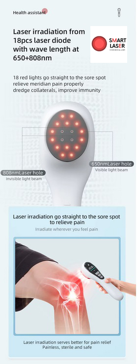 Smart Laser SL450LCD-3